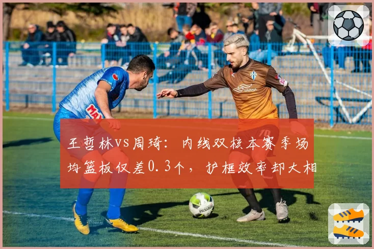 王哲林vs周琦:内线双核本赛季场均篮板仅差0.3个,护框效率却大相径庭