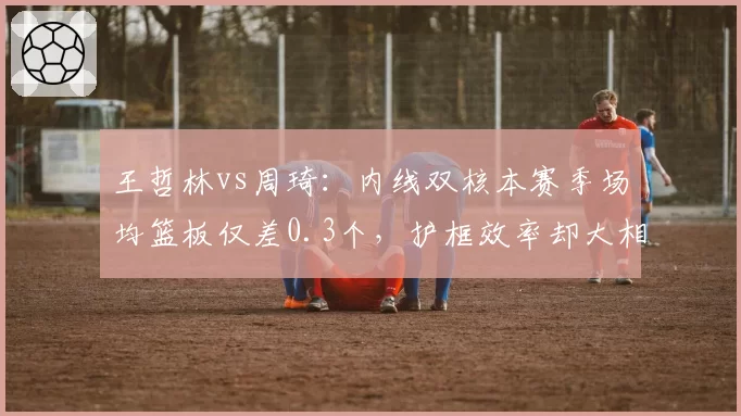 王哲林vs周琦：内线双核本赛季场均篮板仅差0.3个，护框效率却大相径庭
