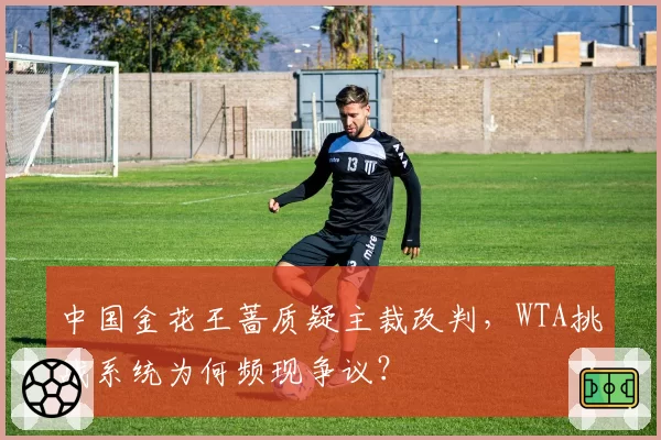 中国金花王蔷质疑主裁改判，WTA挑战系统为何频现争议？