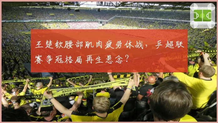 王楚钦腰部肌肉疲劳休战,乒超联赛争冠格局再生悬念?
