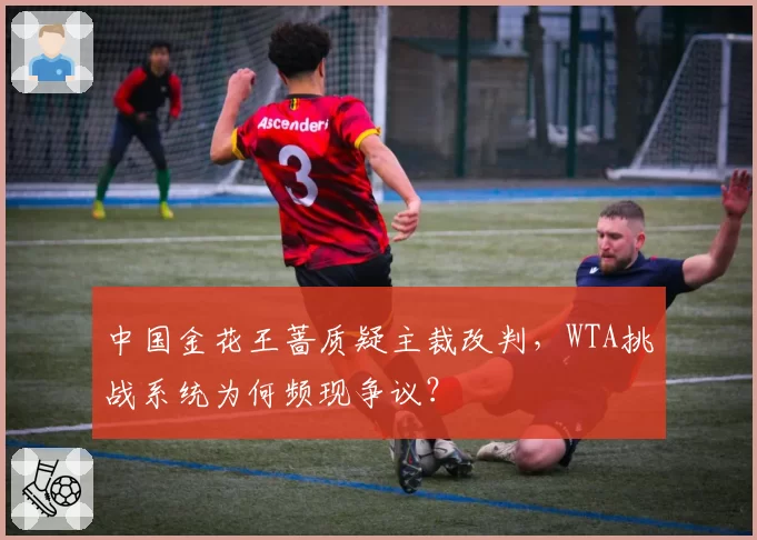 中国金花王蔷质疑主裁改判，WTA挑战系统为何频现争议？